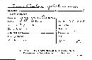 Tremellodon gelatinosum image