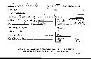 Tremellodon gelatinosum image