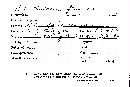 Spathularia flavida image