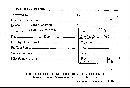 Phellinus gilvus image