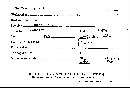 Cyclomyces greenii image