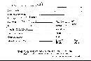 Polyporus tuberaster image