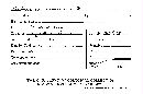 Stereum radians image