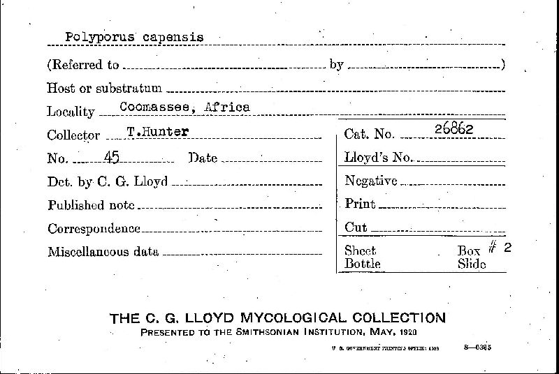 Ganoderma capense image