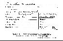 Ascocoryne sarcoides image