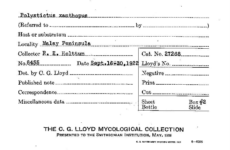 Microporus image