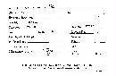 Psilocybe farinacea image