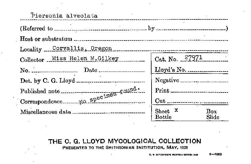 Choiromyces alveolatus image