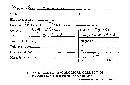 Byssomerulius corium image