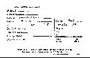 Trichoderma viride image