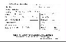 Inonotus tabacinus image