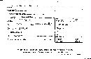 Inonotus tabacinus image