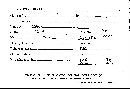 Inocybe lacera image