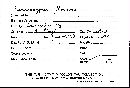 Microstoma floccosum image