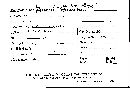 Laccocephalum basilapidoides image