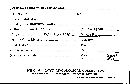 Tremellodendron merismatoides image