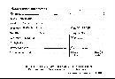 Cymatoderma dendriticum image