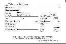 Cymatoderma dendriticum image