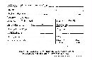 Gloeocystidium stramineum image