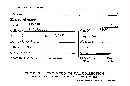 Otidea ochracea image