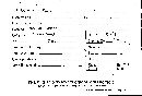 Hapalopilus rutilans image