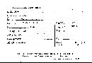 Scleroderma verrucosum image