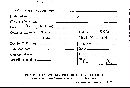 Scleroderma verrucosum image