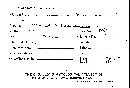 Scleroderma verrucosum image