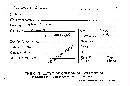 Geoglossum glabrum image