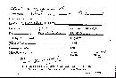 Scleroderma hypogaeum image