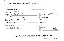 Chrysomphalina chrysophylla image