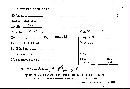 Polyporus annularis image