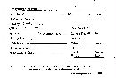 Phellinus gilvus image