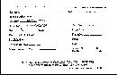 Stereopsis radicans image