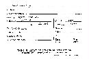 Geoglossum luteum image