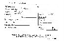 Ascocoryne sarcoides image