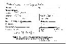 Scleroderma bovista image