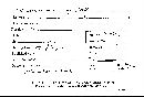 Scleroderma bovista image