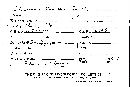 Scleroderma bovista image