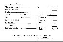 Irpex lacteus image