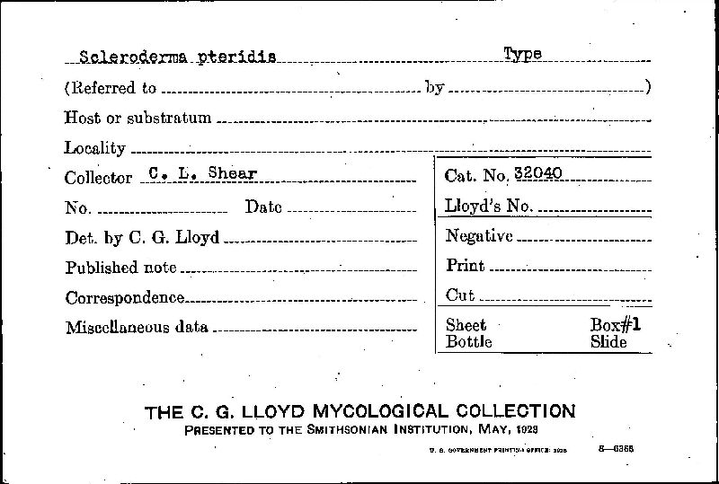 Scleroderma pteridis image