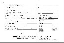 Scleroderma polyrhizum image