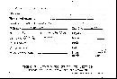 Clavulinopsis fusiformis image