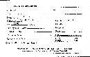 Protohydnum sclerodontium image