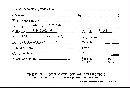 Asterostroma persimile image