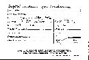 Septobasidium pedicellatum image