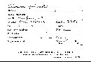 Calocera cornea image