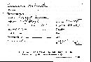 Calocera cornea image