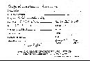 Septobasidium laxum image