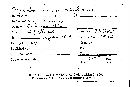 Septobasidium retiforme image